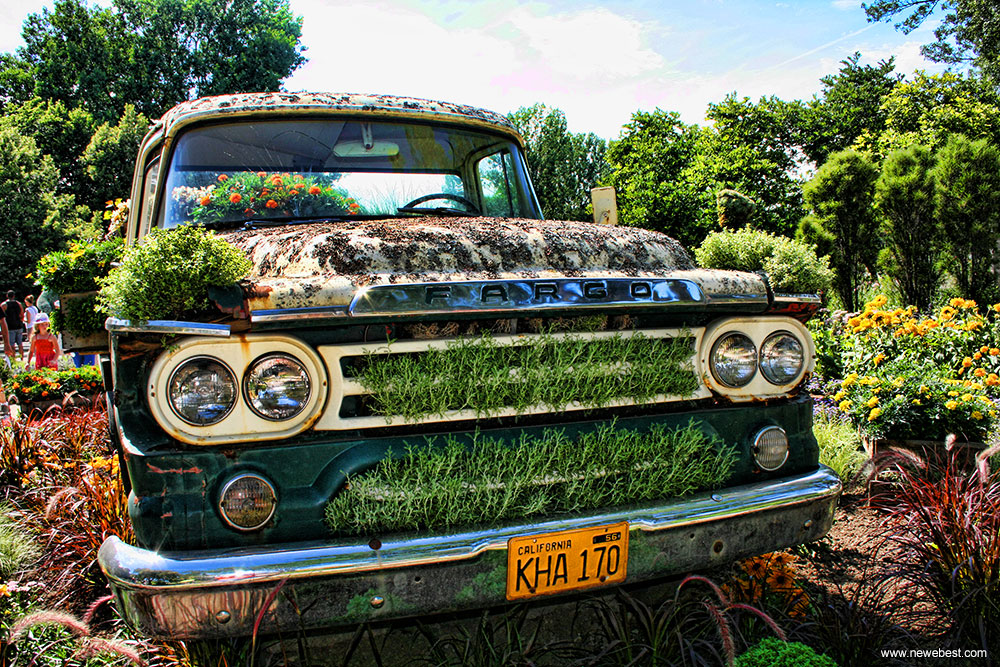 Old flowers car